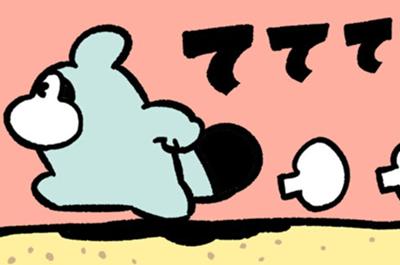 ポコタの豆ちしき