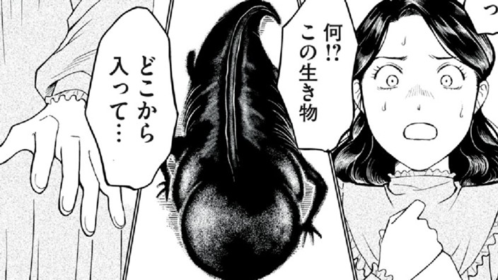 赤い糧