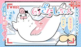 のざらしちゃん