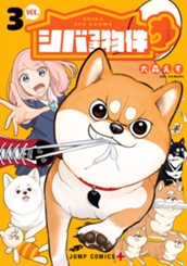 シバつき物件 3 のサムネイル