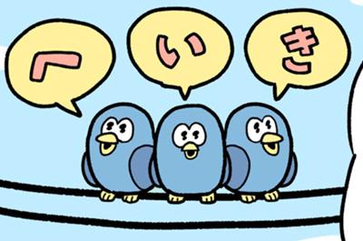 ポコタの豆ちしき