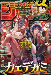 週刊少年ジャンプ 2025年30号 のサムネイル