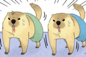 第８話　うさカメパワー のサムネイル