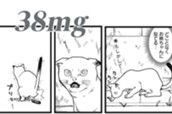 38mg のサムネイル