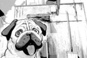 ＃５　服を着た犬 のサムネイル
