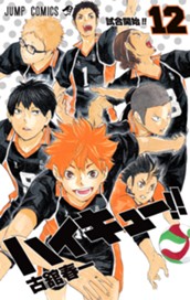 ハイキュー!! カラー版 12 のサムネイル