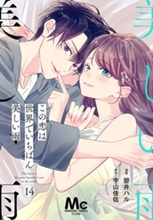 【分冊版】この恋は世界でいちばん美しい雨 14 のサムネイル