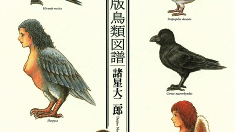 私家版鳥類図譜