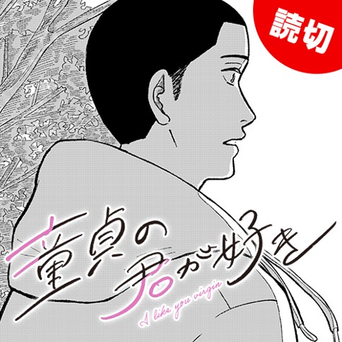 童貞の君が好き