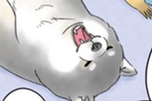 第１７話　ムギの暑い夏 のサムネイル