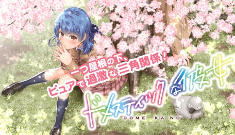 ドメスティックな彼女