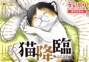 猫降臨