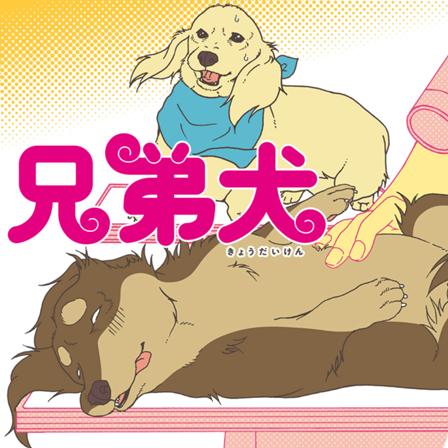 兄弟犬