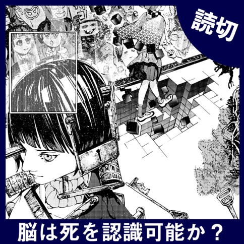 脳は死を認識可能か？