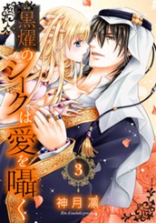 黒燿のシークは愛を囁く 3 のサムネイル