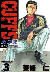 CUFFS—カフス— 傷だらけの地図 集英社版 3 のサムネイル