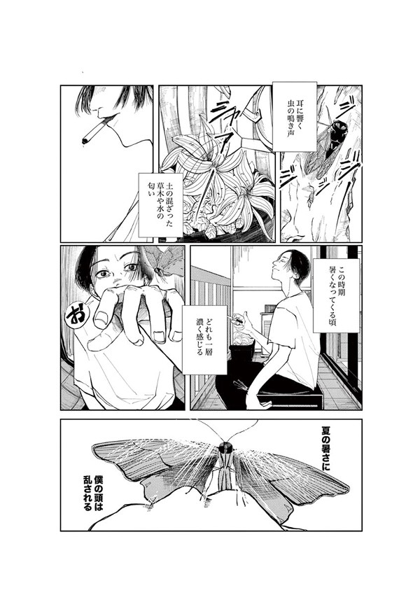 夏の暑さに僕の頭は乱される。