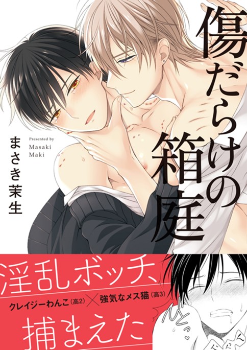 傷だらけの箱庭