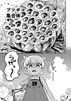 ブツボコ集合体