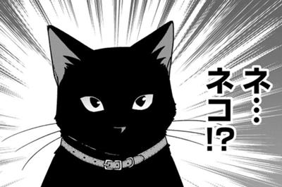 帰命寺横丁の夏