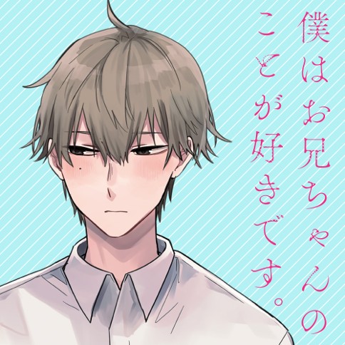 僕はお兄ちゃんのことが好きです。