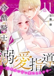 冷酷騎士の溺愛指導 -10年分の甘い愛にとろけ中- 11 のサムネイル