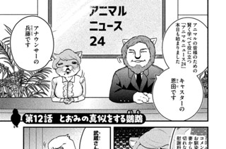 アニマルハラスメント 日夜カモ 最終話 同じ穴のムジナ コミックdays