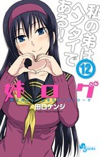 姉ログ（１２） (少年サンデーコミックス)