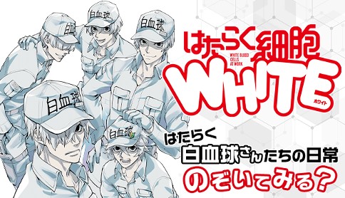 はたらく細胞white 漫画 蟹江鉄史 監修 清水茜 はたらく細胞 第1話 憧れの先輩たち マガポケ