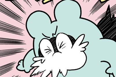 ポコタの豆ちしき