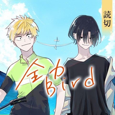 全力Bird