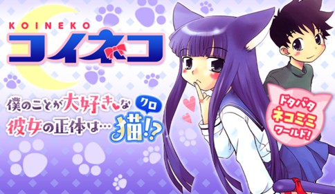 コイネコ