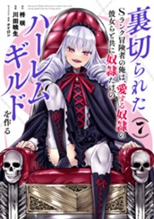 裏切られたSランク冒険者の俺は、愛する奴隷の彼女らと共に奴隷だけのハーレムギルドを作る 7 のサムネイル
