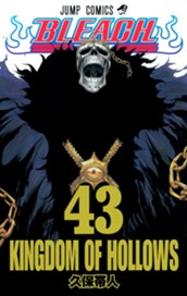 BLEACH モノクロ版 43 のサムネイル