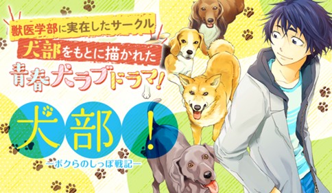 犬部！ボクらのしっぽ戦記