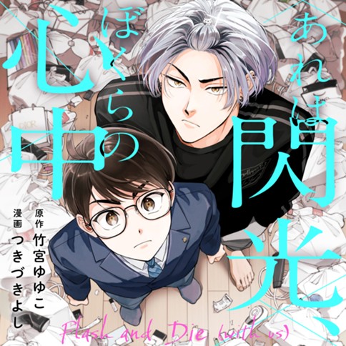 あれは閃光、ぼくらの心中