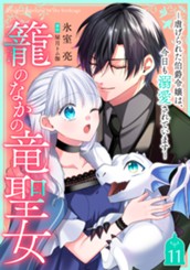 籠のなかの竜聖女 ―虐げられた伯爵令嬢は、今日も溺愛されています― 11 のサムネイル