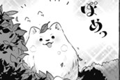 ともしびのブラウニー のサムネイル