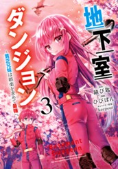 地下室ダンジョン ～貧乏兄妹は娯楽を求めて最強へ～ 3 のサムネイル