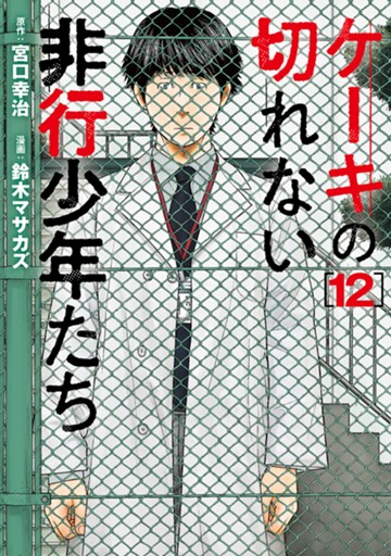 ケーキの切れない非行少年たち　１２巻