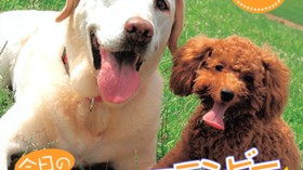 今日のさーびす＆フランビー