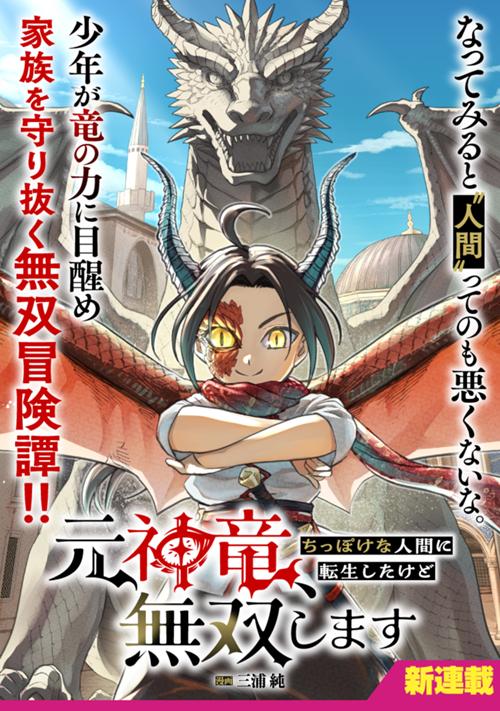 元神竜、ちっぽけな人間に転生したけど無双します