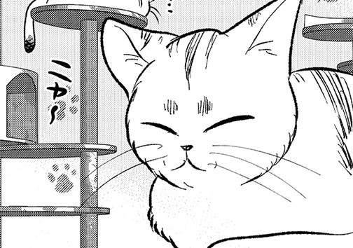 仁義にゃき戦い