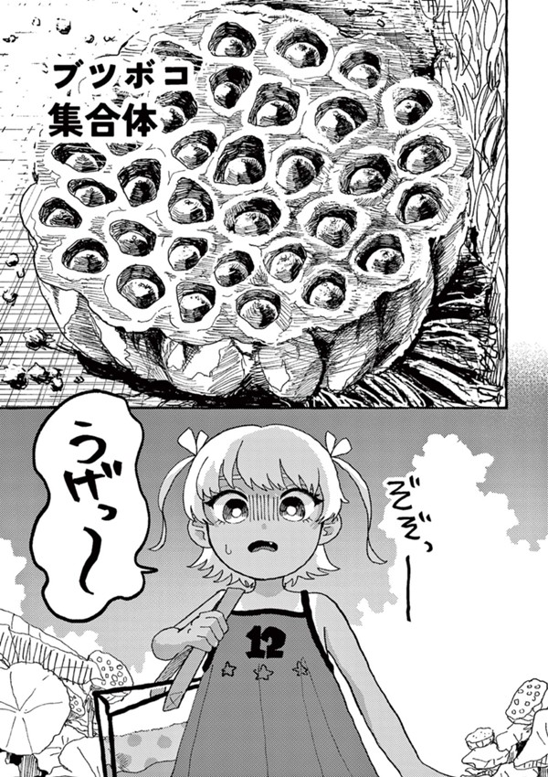 ブツボコ集合体