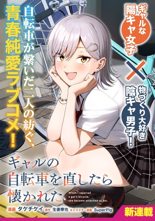 ギャルの自転車を直したら懐かれた タケチケイ/生姜寧也/SuperPig