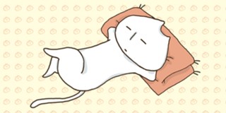 無料あり 猫田びよりの作品情報 単行本情報 アル