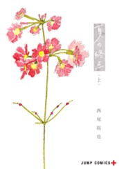 夏の終点 上 のサムネイル