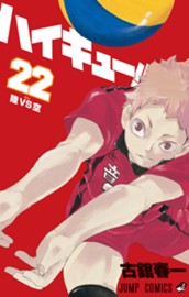 ハイキュー!! カラー版 22 のサムネイル