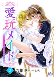 愛玩メイド 王子とすごすヒミツの夜 2 のサムネイル