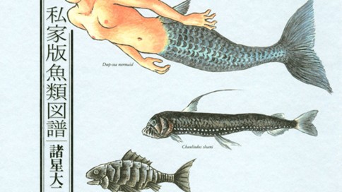 私家版魚類図譜